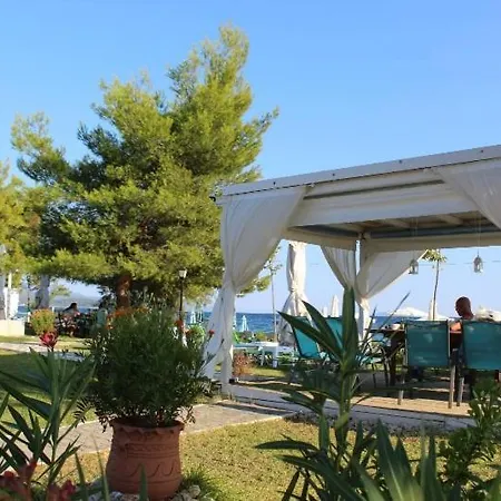 Maras Marinas Open All Year * Nikiti (Sithonia)
