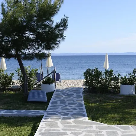 Maras Marinas Open All Year * Nikiti (Sithonia)